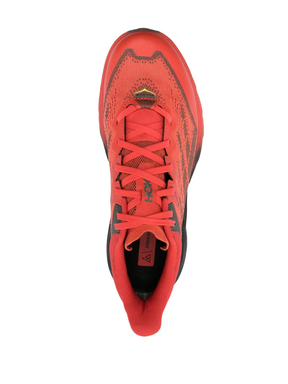 HOKA - ONE ONE SPEEDGOAT 5 GORE-TEX FIESTA THYME