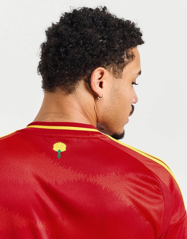 MAILLOT ESPAGNE DOMICILE 2024/25