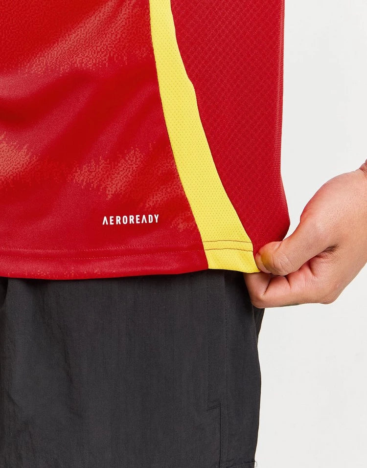 MAILLOT ESPAGNE DOMICILE 2024/25